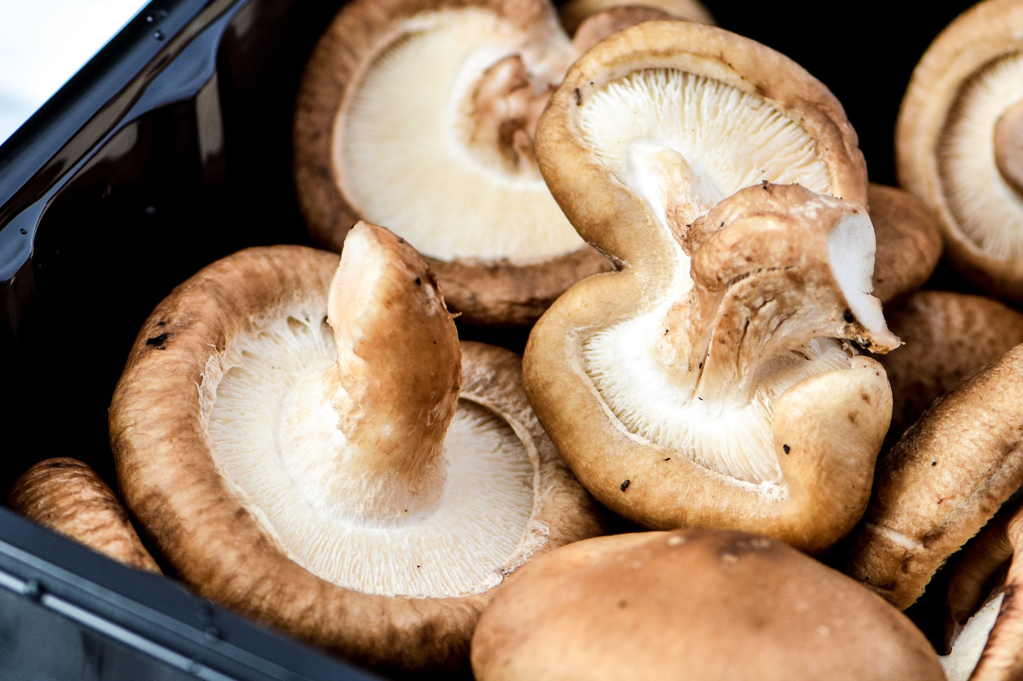 Simple Shiitake Mushroom Chicken Ramen recipe - I use chicken bone broth and brown rice ramen for this easy homemade noodle soup! - ProjectMealPlan.com