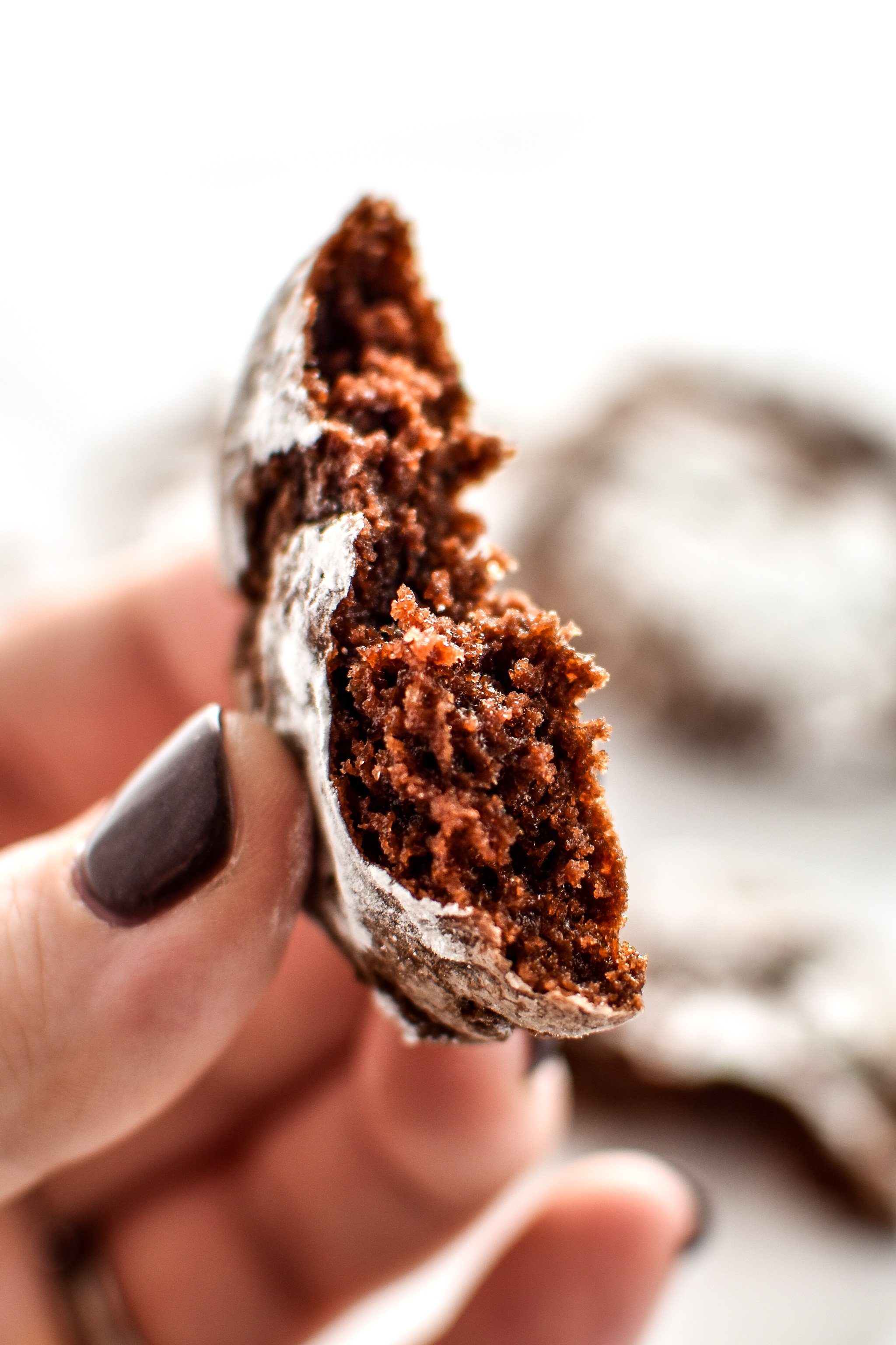 Holding a classic chewy chocolate crinkle cookie.