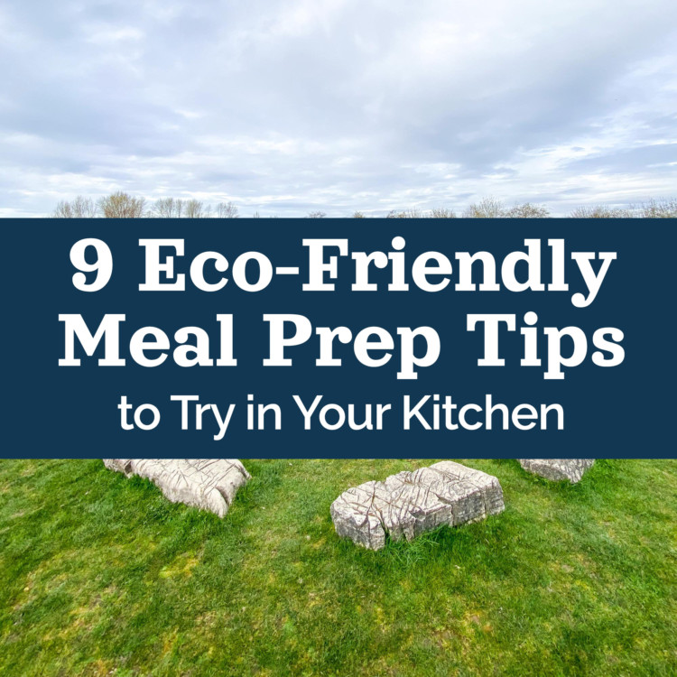 cover image for post 9 eco-friendly meal prep tips with text over grass and sky image.