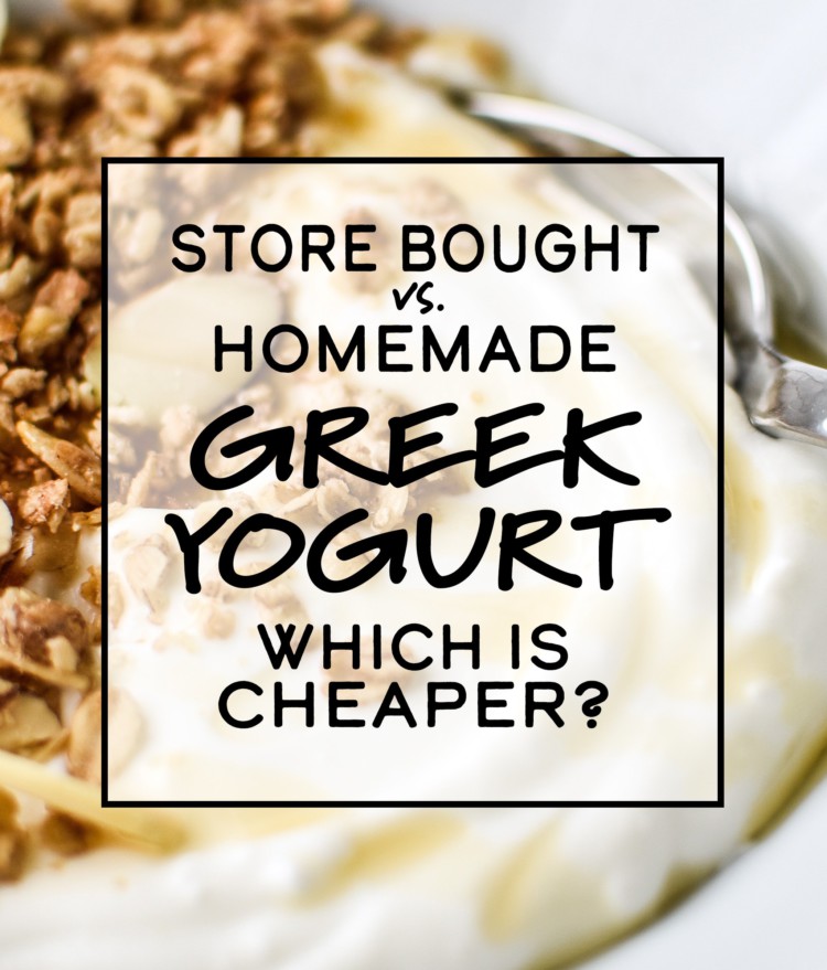 Store Bought vs. Homemade Greek Yogurt Which is Cheaper?