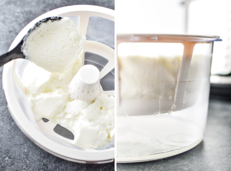 Store Bought vs. Homemade Greek Yogurt Which is Cheaper?