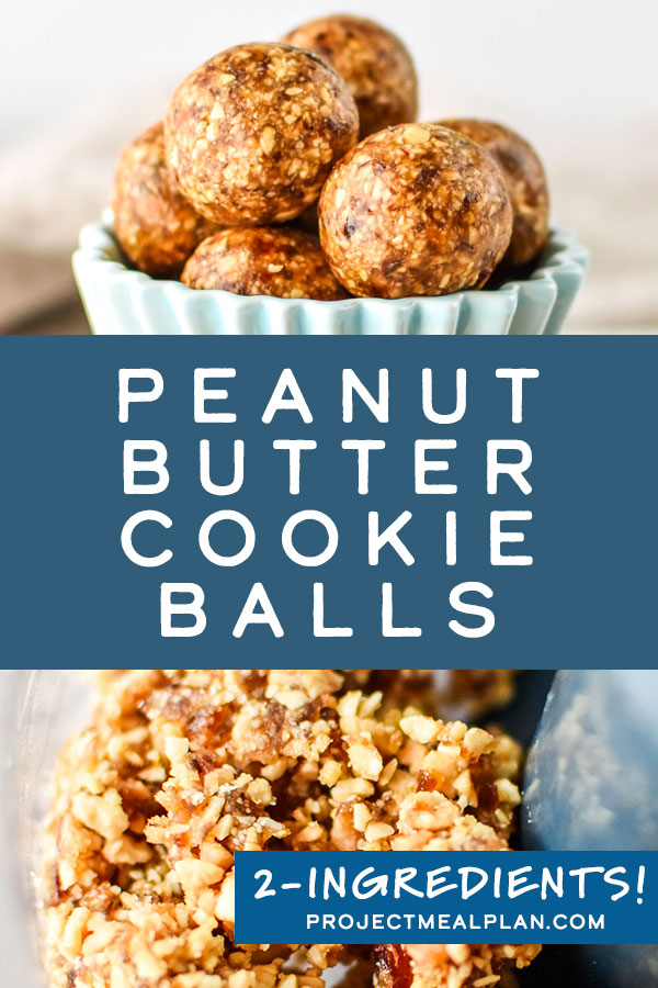 2 Ingredient Peanut Butter Cookie Balls - Project Meal Plan