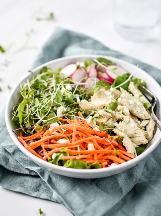 Simple Spring Mix Lunch Salad - Project Meal Plan