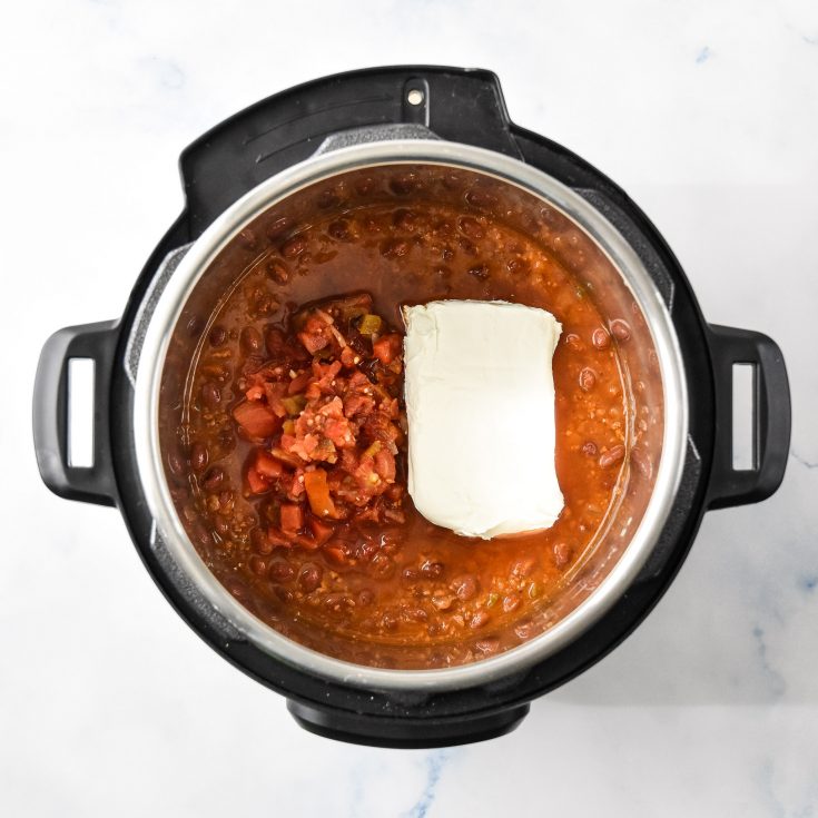 4 Ingredient Chili Cheese Dip (Slow Cooker & Instant Pot) Project