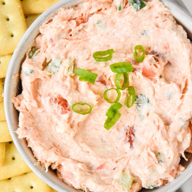 smoked salmon dip arranged to serve with crackers.