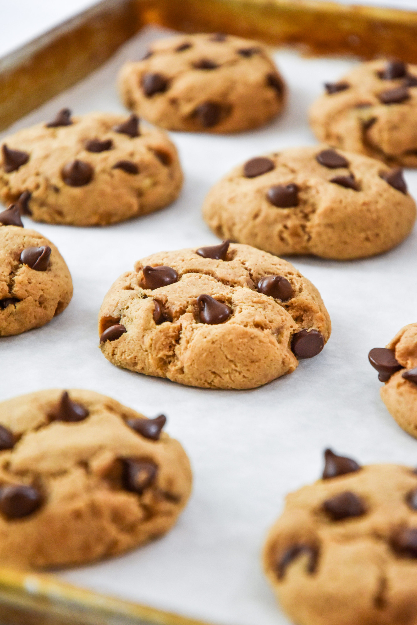 Chocolate Chip Pancake Mix Cookies Project Meal Plan