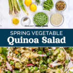 pin image with text for Spring Vegetable Quinoa Salad.