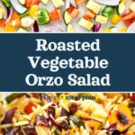 pin image with text for roasted vegetable orzo salad.