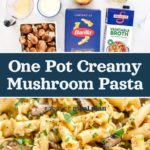 pin image with text for one pot creamy mushroom pasta.