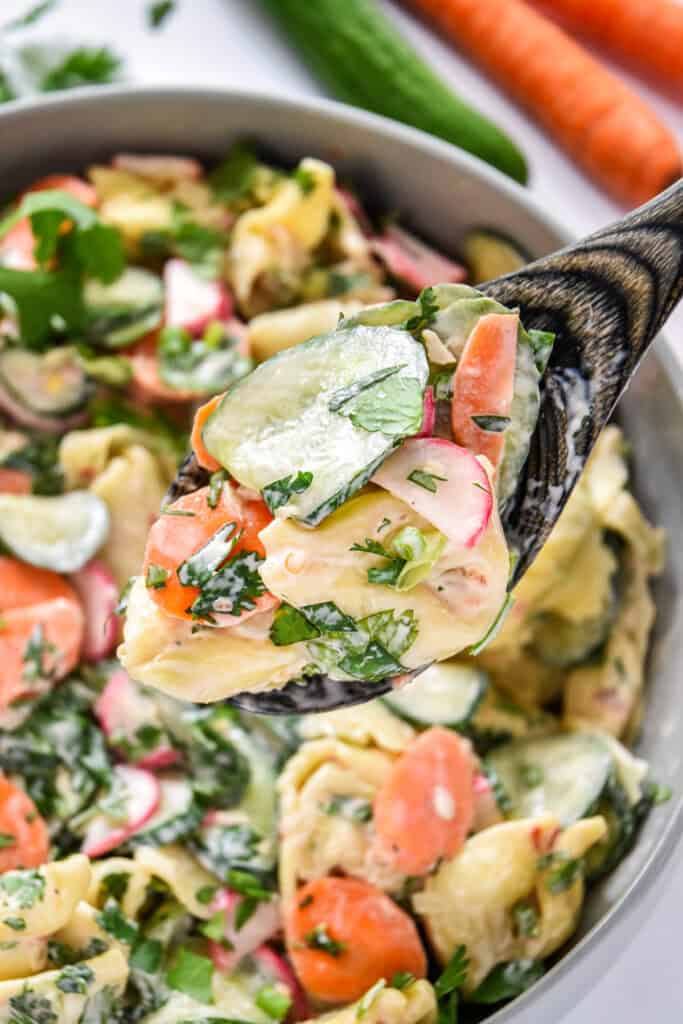 a serving scoop of banh mi inspired tortellini salad with fresh cilantro.