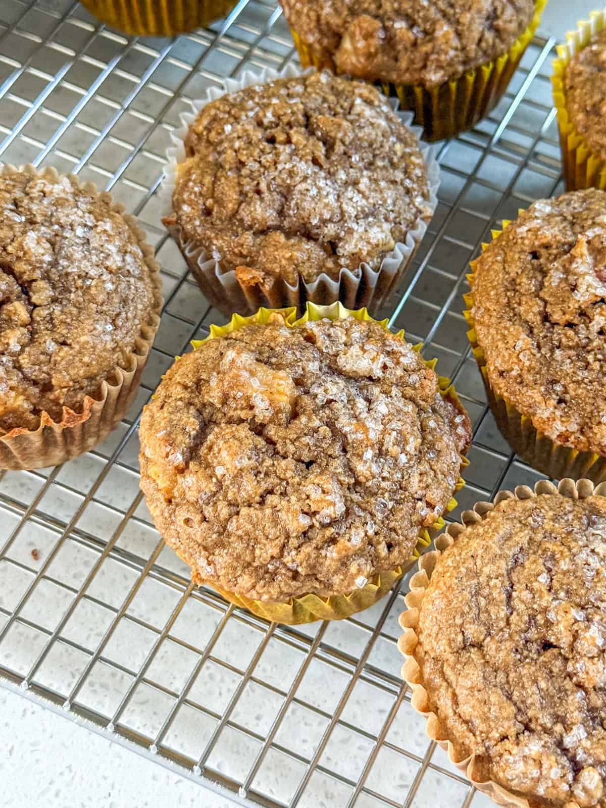 Oatmeal Applesauce Blender Muffins